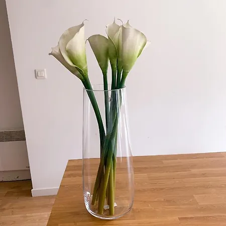 Agreable Maison De Avec Jardin A Rouen 아파트 Sotteville-lès-Rouen